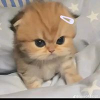 กลุ่มคนชอบ ซาริโอ้😺🩷