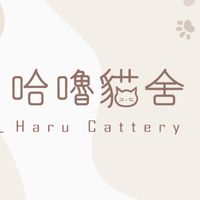 哈嚕貓舍-家長專區