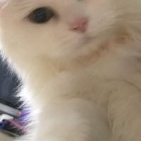 暇つぶしオプ‼️ライトたくさんします‼️