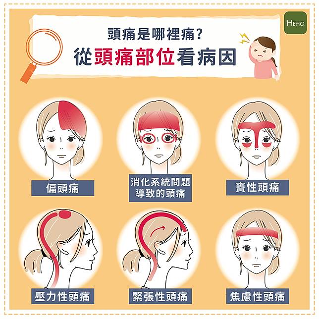 頭痛是哪裡痛 從頭痛部位看病因 Heho健康 Line Today