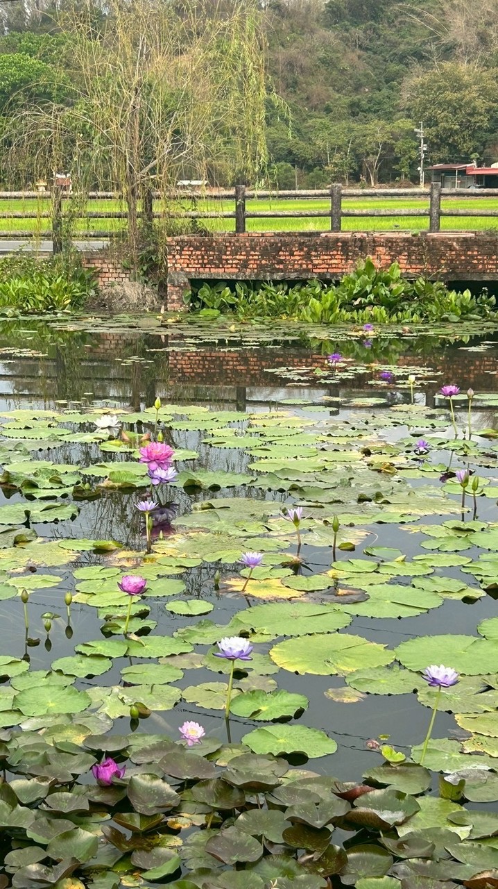 快樂親友旅遊團