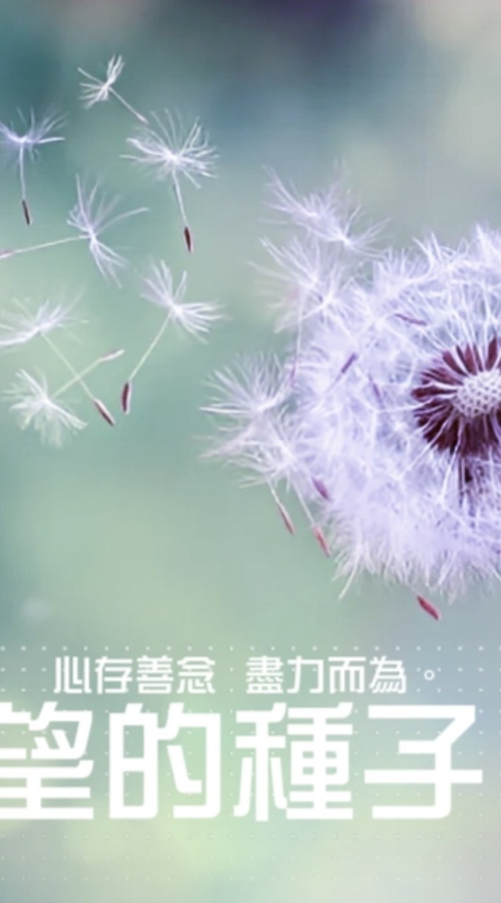 小草變成蒲公英