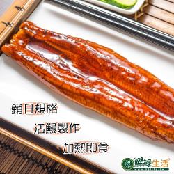 鮮綠生活 大份量日式蒲燒鰻魚4尾(200g/尾)