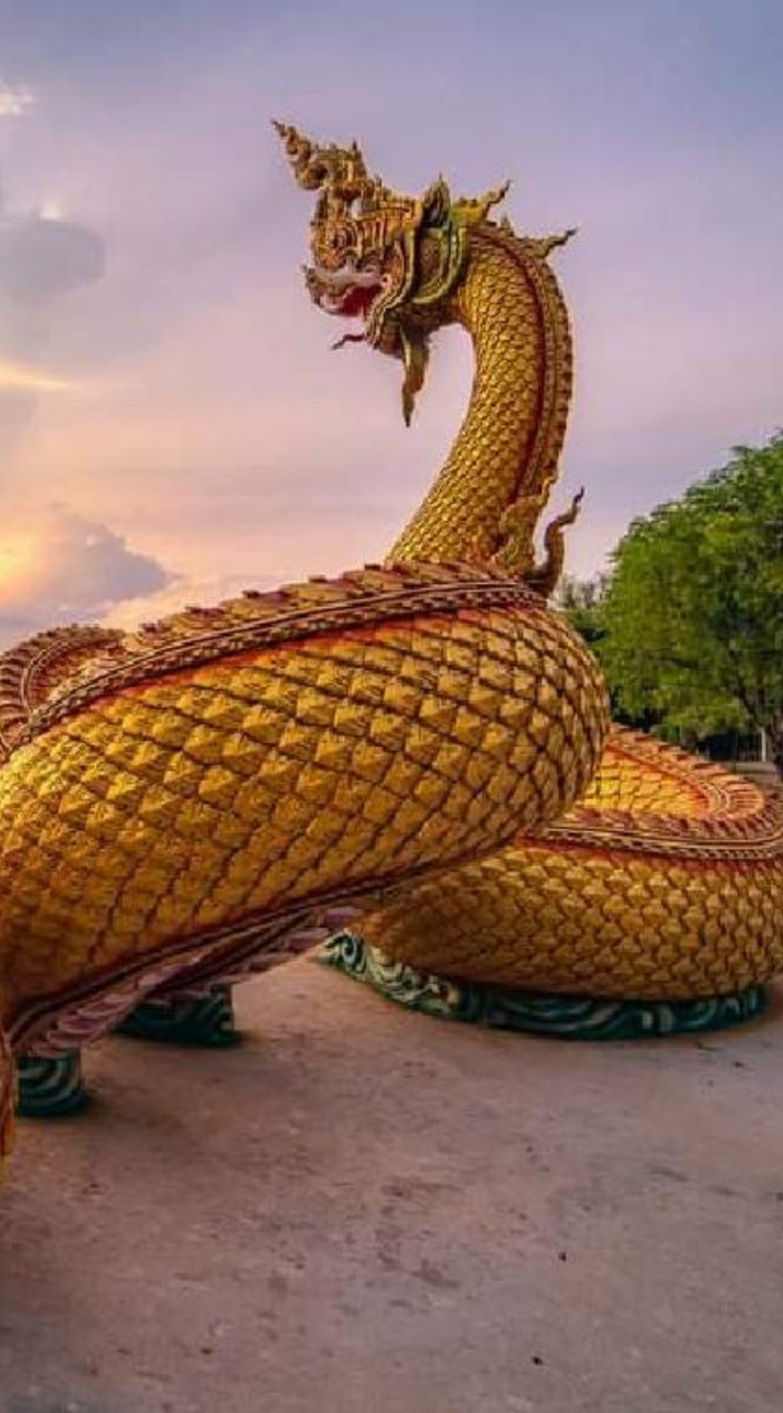 มองความสวยผ่านเลนส์กล้อง-มือถือ