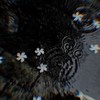 ‎✮⋆˙
