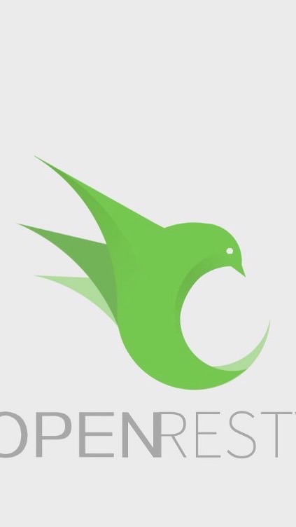 Openresty Nginx 交流