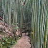 竹竿哥品保分享群