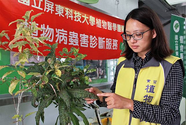 屏科大首創植物醫師守護健康從生產開始把關 Nownews 今日新聞 Line Today