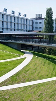 和光大学「2026年度入学」