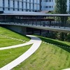 和光大学「2026年度入学」