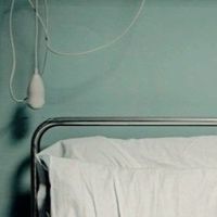 空想病理学の庭：全也炉留必須