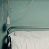 空想病理学の庭：全也炉留必須