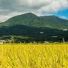 8/29 筑波山