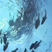 𝑩𝑳𝑼𝑬翻唱團🐋