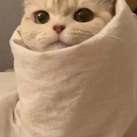 邊緣人互助會
