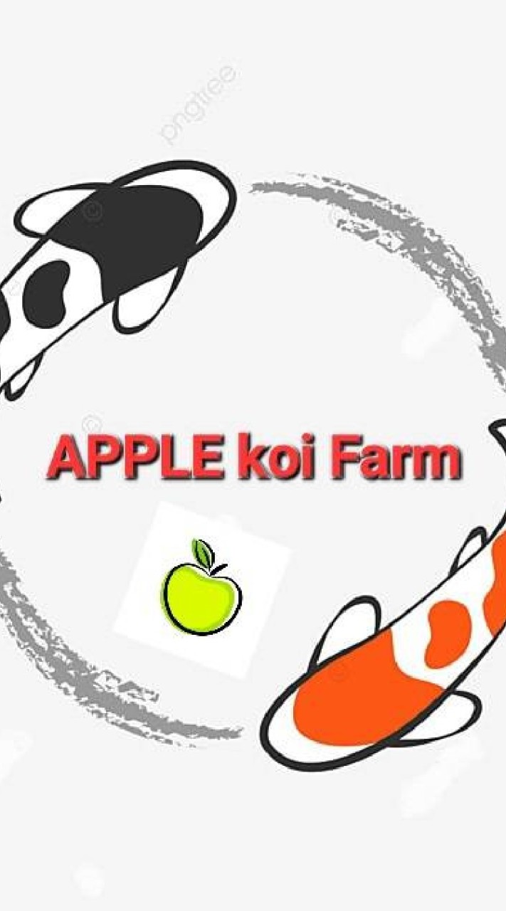 Apple Koi Farm