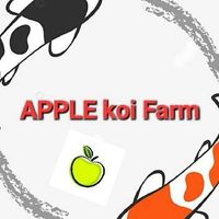 Apple Koi Farm