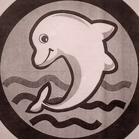 快樂小海豚