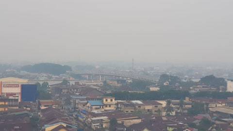 Kabut Asap Masih Pekat Libur Anak Sekolah Di Pontianak