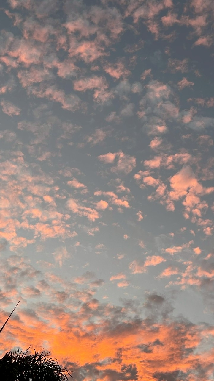 ขายรูปเทสดี