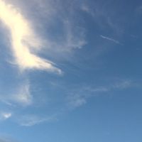 Hiphop交流社