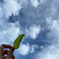 致民115免試入學考生服務隊
