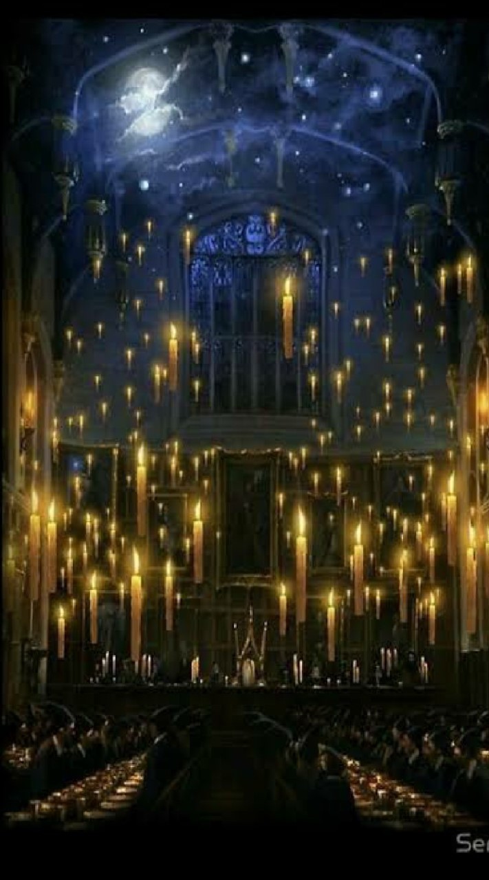 📜𝑯𝖆𝖗𝖗𝒚 𝕻𝒐𝒕𝒕𝒆𝒓 #𝕾𝕹𝕬📜