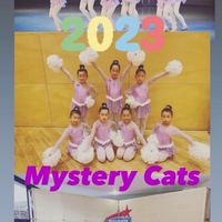 2023💜Mystery Cats動画共有