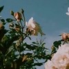 凌月集團-職場對戲𑁍