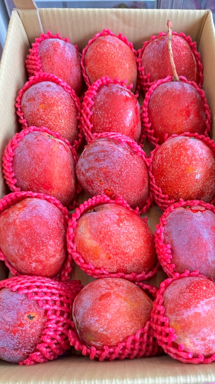 菓珍鮮蔬果
