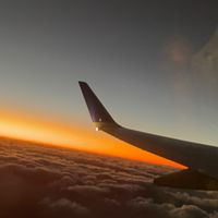 蹴られる前にアナウンスに書いてある言葉をそのまま言えたら副官差し上げます