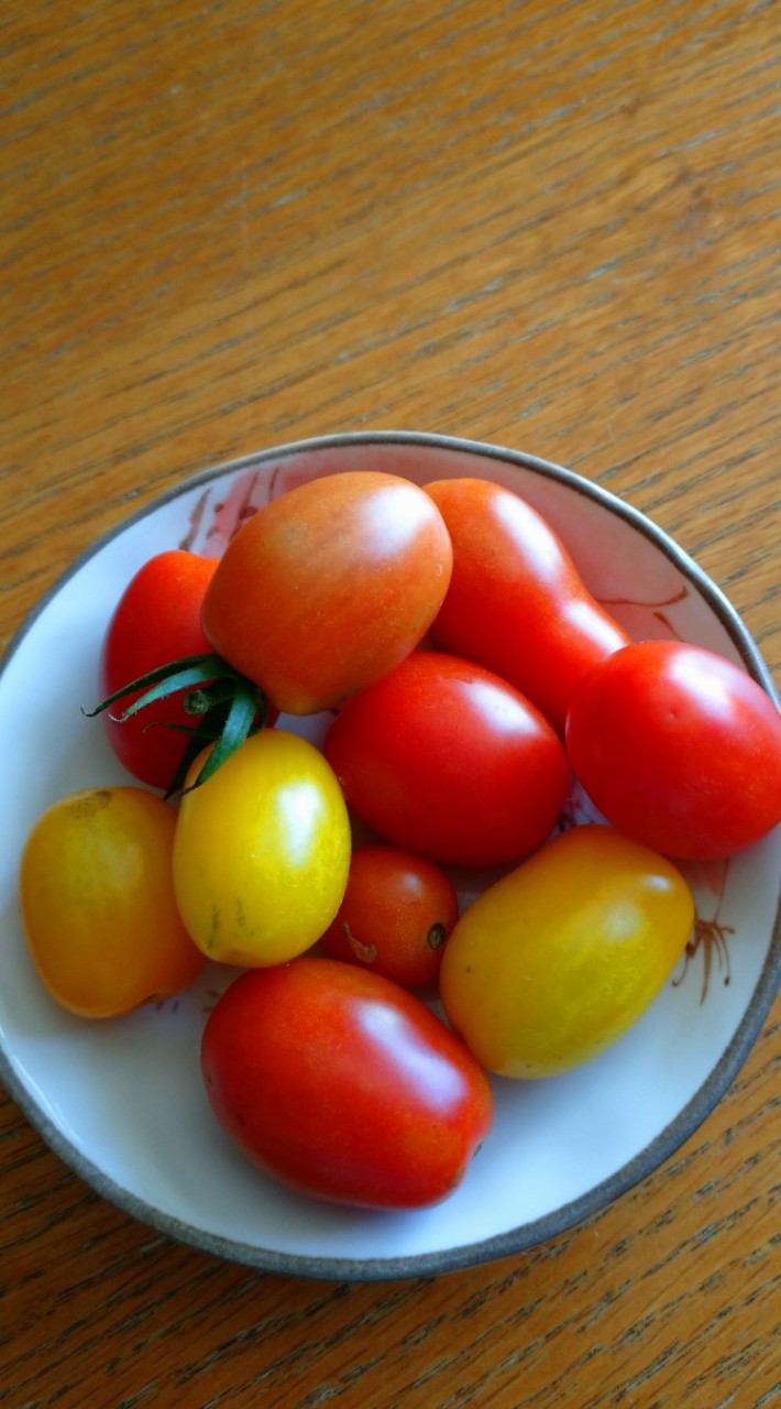 蒼衣🍅と話そ😊のオープンチャット