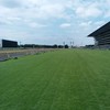 競馬〜理論&確率論で10年連続+収支〜