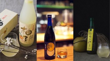 【老實餐桌】專業日本唎酒師精選六款利口酒！帶你體驗愛戀酸甜苦辣