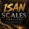 Isan Scales Thailand