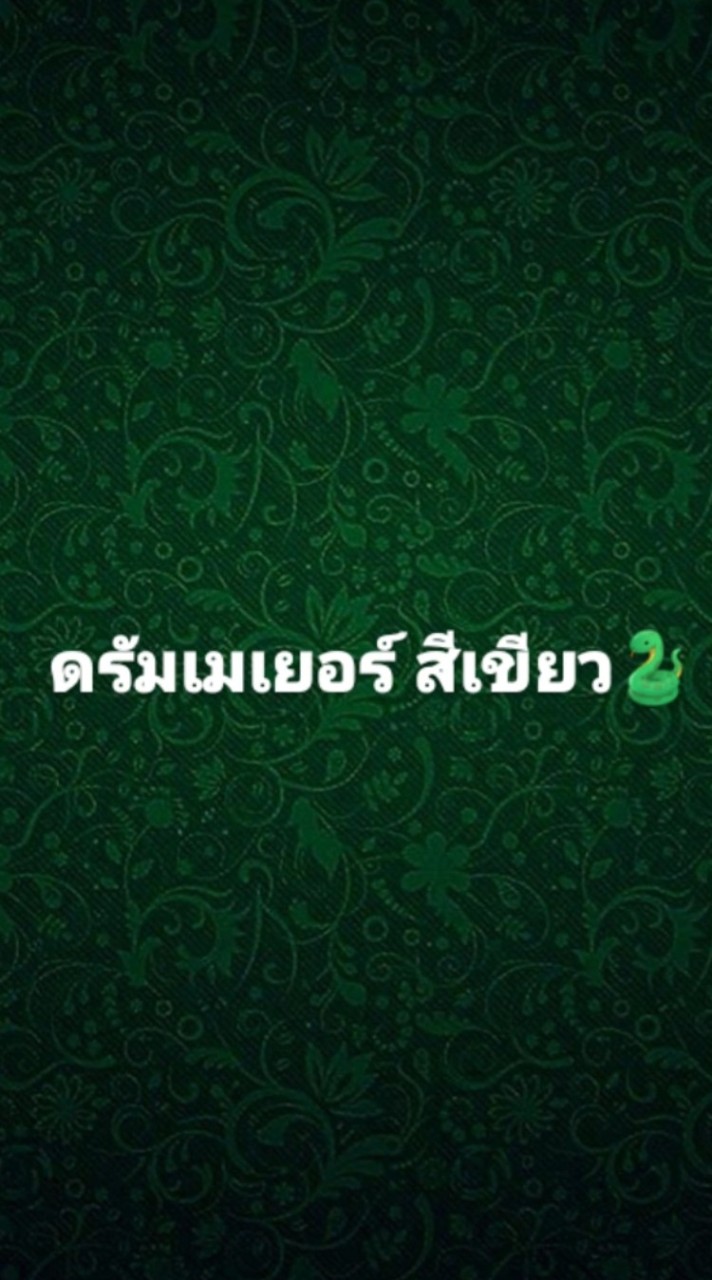 ดรัมเมเยอร์สีเขียว💚