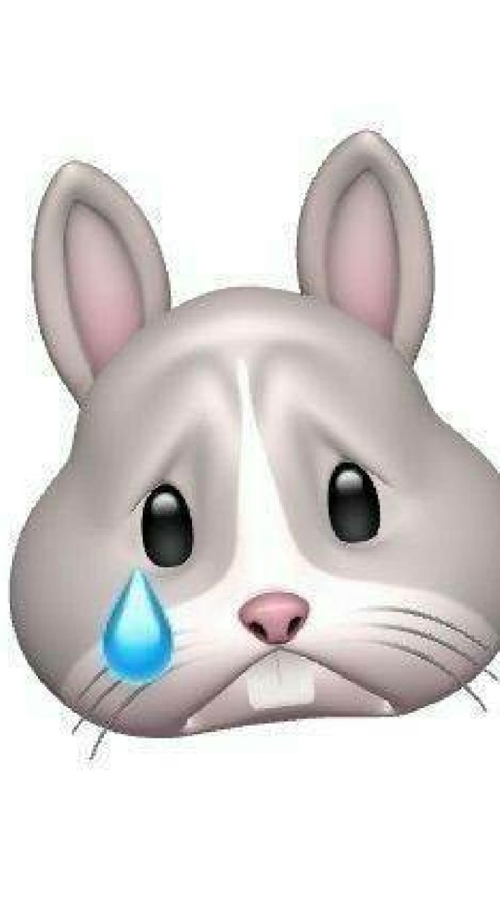 คนโสด คนเหงา หาคนคุย เข้ามาจร้า❤️🐰😳🥕