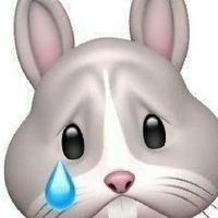 คนโสด คนเหงา หาคนคุย เข้ามาจร้า❤️🐰😳🥕