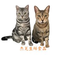 杰芫手工製作食品