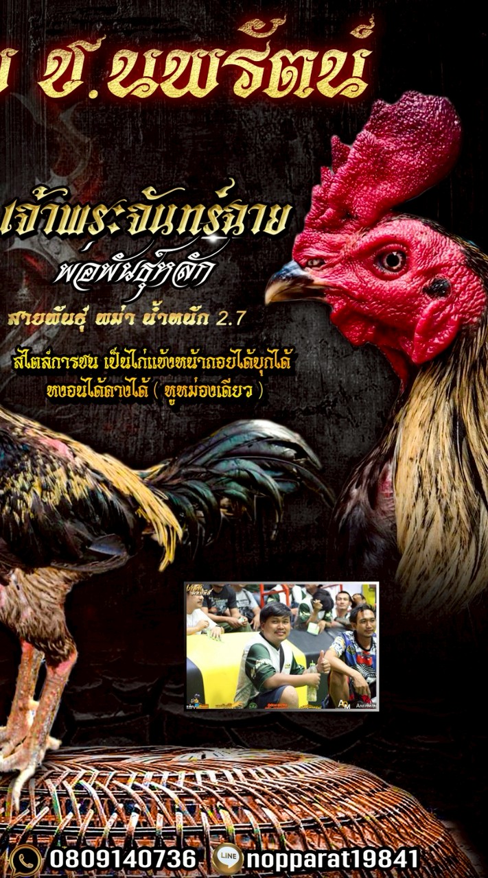 ช.นพรัตน์