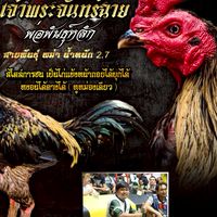 ช.นพรัตน์