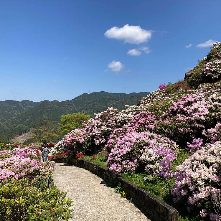 ユーザーの口コミ 星の花公園 ホシノハナコウエン 星野村 公園 By Line Place