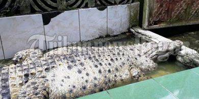 TribunnewsBogor.com/Mohamad Afkar Sarvika