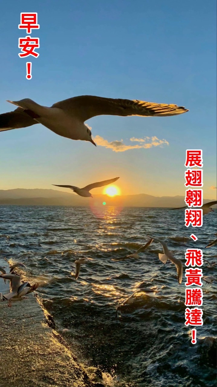 嘉雲南開心易學社