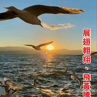 嘉雲南開心易學社