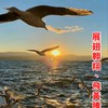 嘉雲南開心易學社
