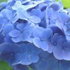 🌺美しの里ポンポコ学園🌺