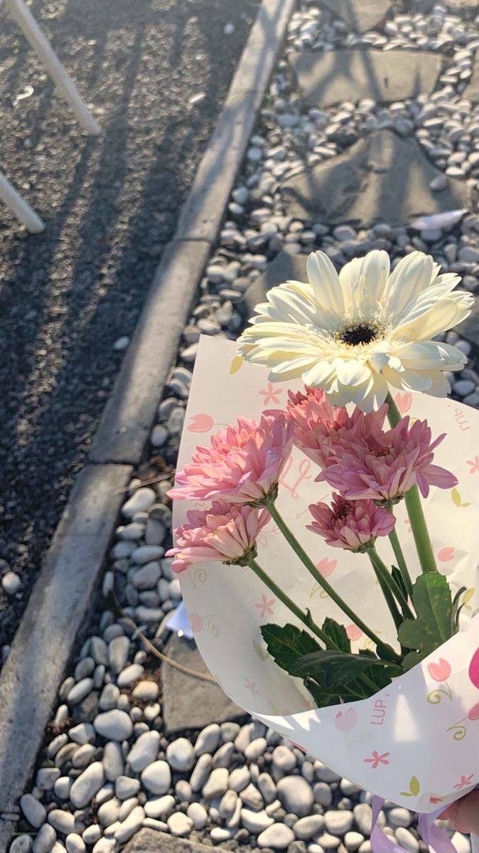 ak ~ ส่งแอพ 🌷
