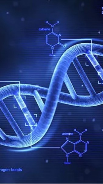 基因寶經銷事業群