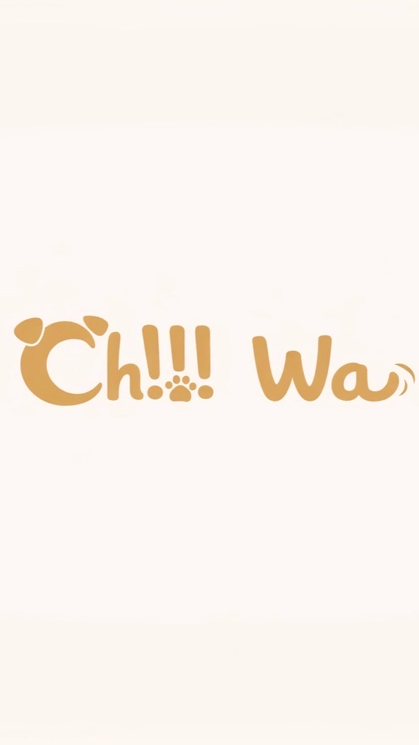 【Ch!!!Wa】毛孩生活×韓系選品